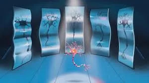 تأثیر فیلم دیدن بر مغز و روان انسان: از علم اعصاب تا روانشناسی